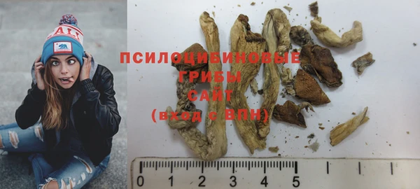 ГАЛЛЮЦИНОГЕННЫЕ ГРИБЫ Алексин